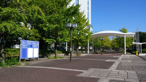 20161015_084249.jpg